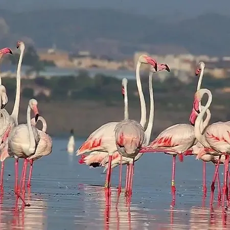 Cozy 2 Bed Playa De Locos Appartamento Torrevieja